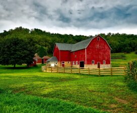 Small Farm Business Challenges