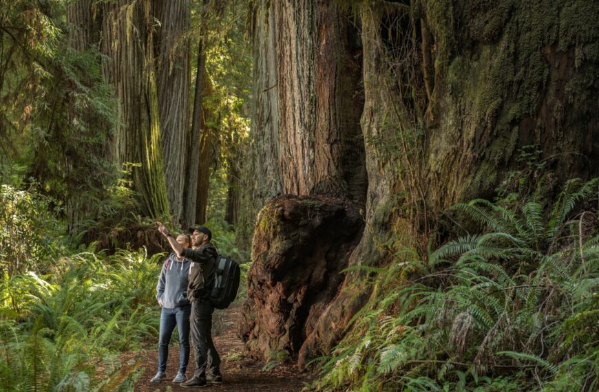 These 15 U.S. Landmarks Are Worth the Detour on Your Road Trip