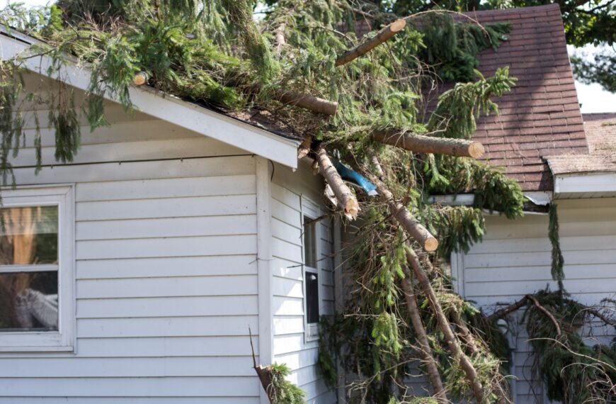Your Home Insurance Policy Exposes You to These 19 Risks